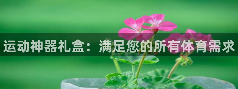 tpwallet官网下载平台假的吗是真的吗吗:运动神器礼盒: