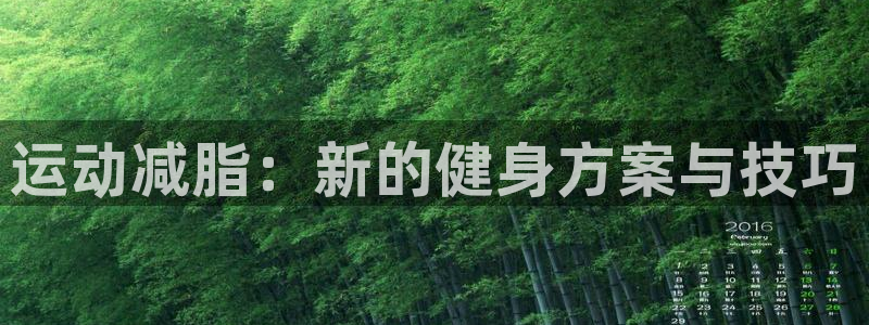 tp官方正版app娱乐40996:运动减脂:新的健身方案与技